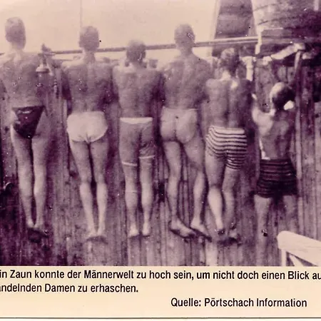 招待所 阿尔弗雷德奇迹旅馆