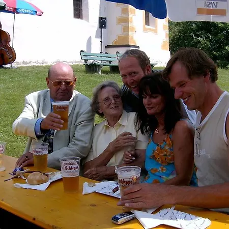 阿尔弗雷德奇迹旅馆 Pörtschach am Wörthersee