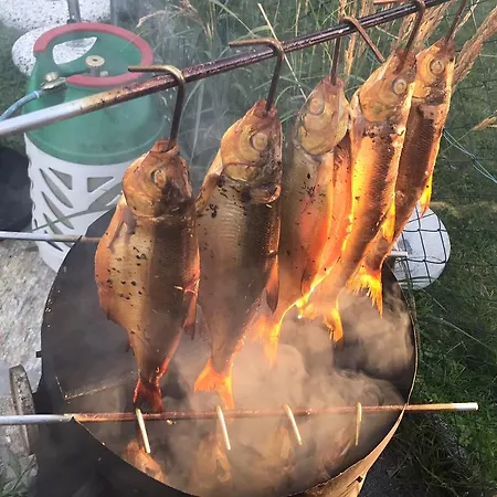 阿尔弗雷德奇迹旅馆 招待所 3*