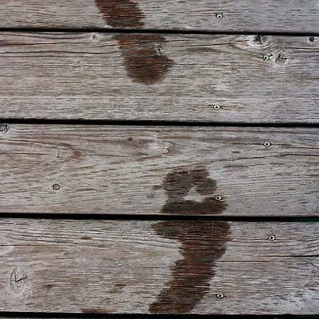 阿尔弗雷德奇迹旅馆 招待所 3*