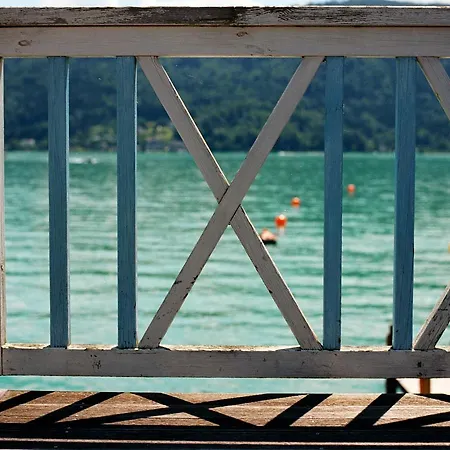 阿尔弗雷德奇迹旅馆 招待所 3*