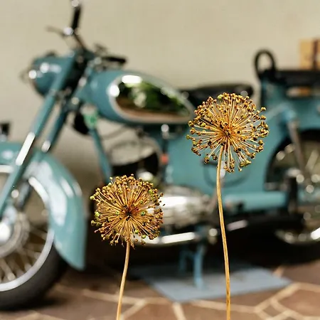 阿尔弗雷德奇迹旅馆