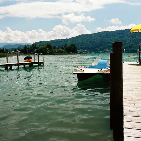 阿尔弗雷德奇迹旅馆 招待所