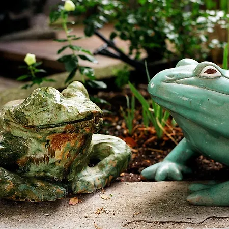 阿尔弗雷德奇迹旅馆