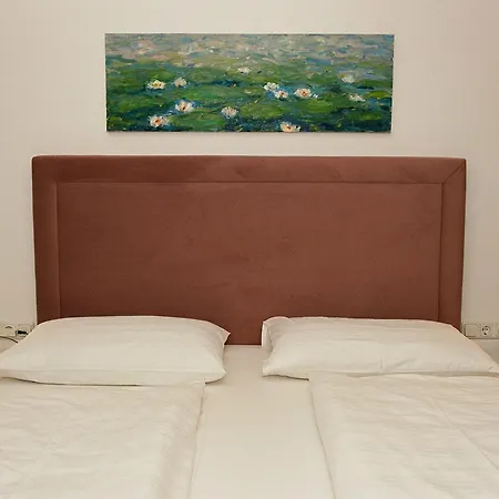 招待所 阿尔弗雷德奇迹旅馆 3*